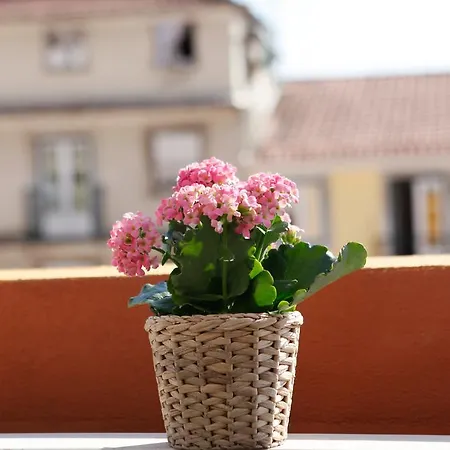 Bed and breakfast Flores