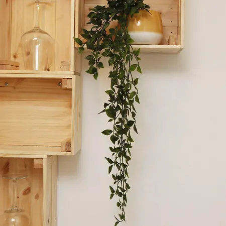 Flores Nocleg ze śniadaniem Lizbona