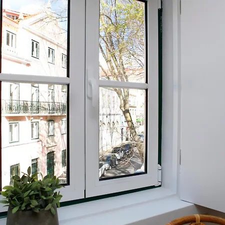 Flores Bed & Breakfast 3*